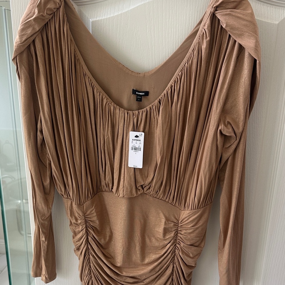 Express Shimmery Ruched Long Sleeve Dress - Tan